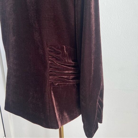 Vtg 90s Brown Velvet Blazer Women XLP Steampunk Academia Western Equestrian Goth - Picture 10 of 13